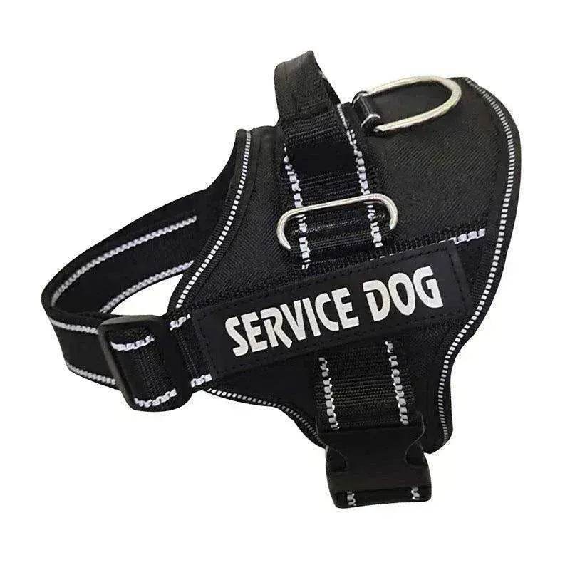 High Quality Personalization Of Pet Chest Strap / leash
