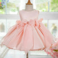Elegant Princess Birthday girl dress Party dress flower girl dress