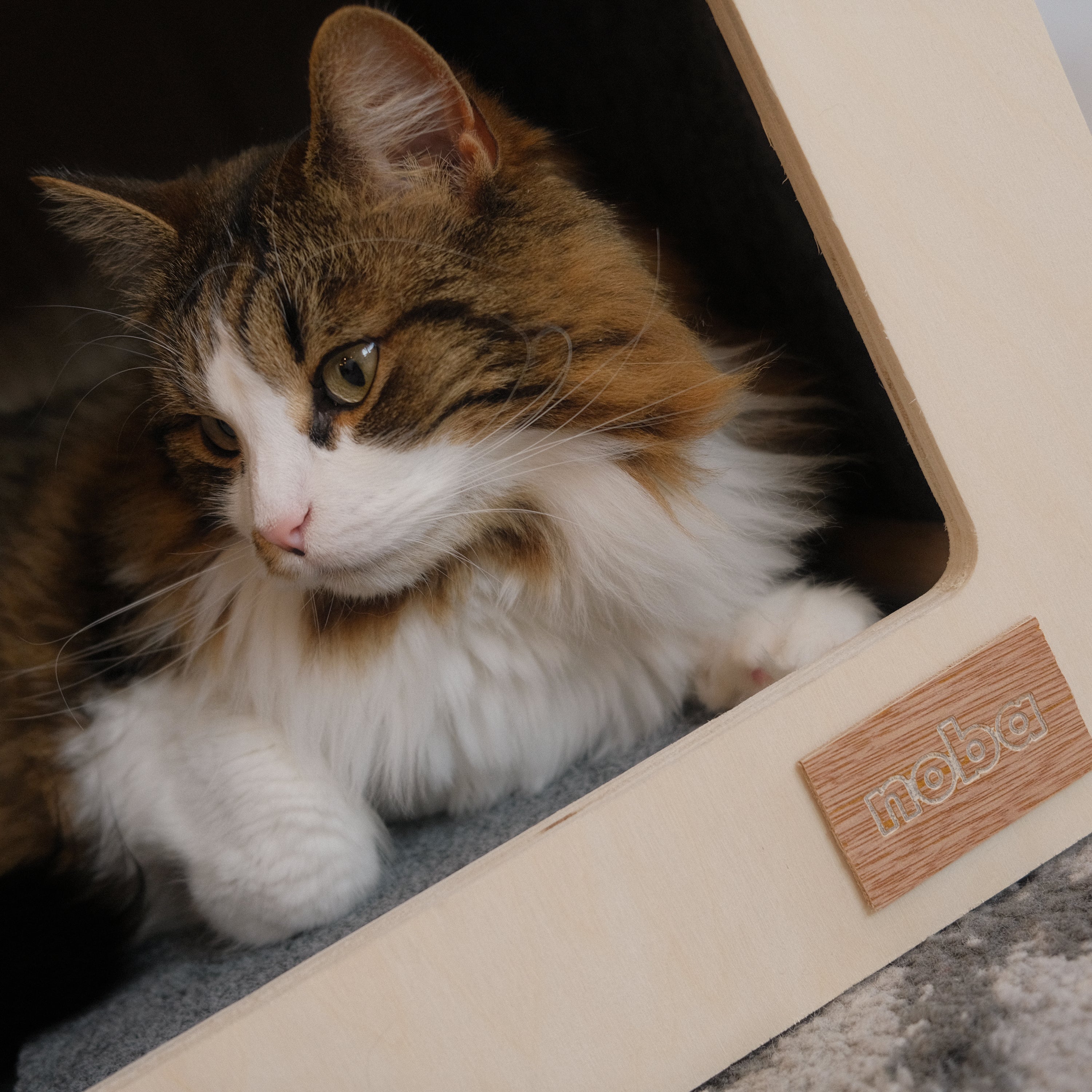 The Urban Hut Pet House