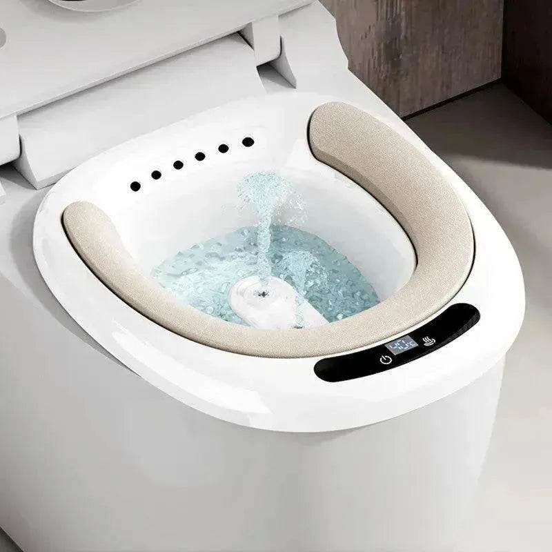 Electric Toilet Bidet For Women